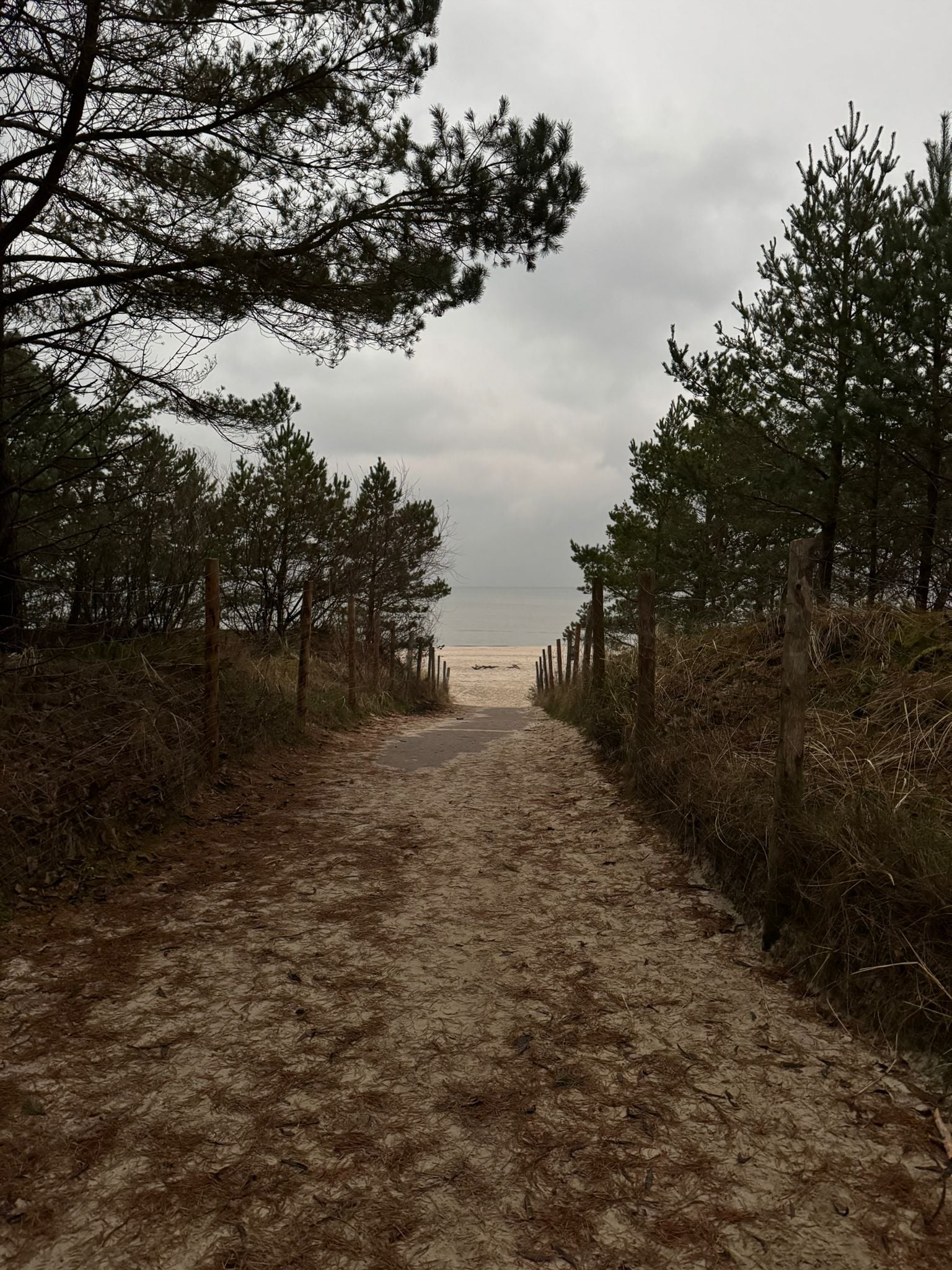 Dom z bali na sprzedaż